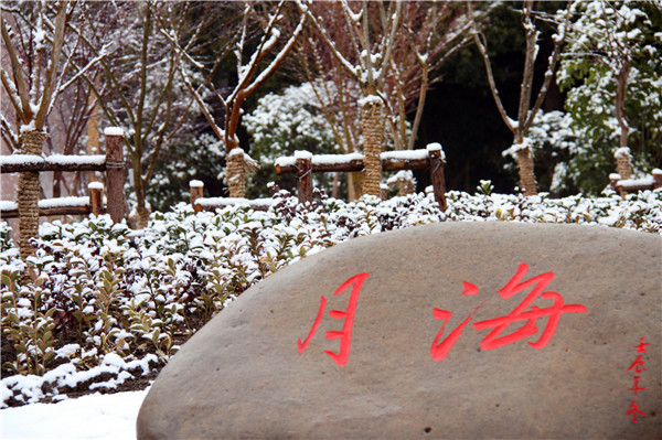 965d6c13-f14e-4e6b-8a84-a1334f1d5ca0