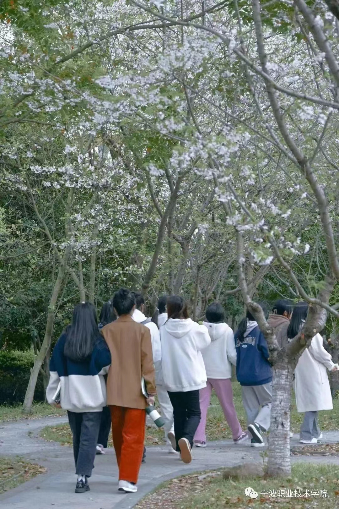 微信图片_20230408111150