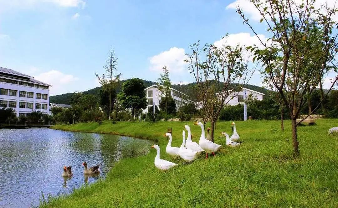 微信图片_20230408120842