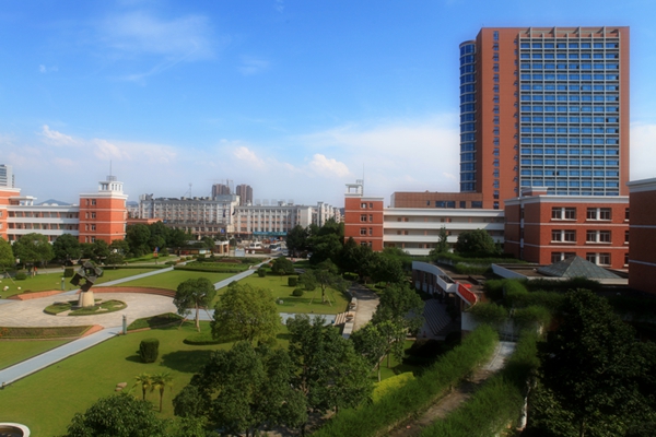 5591EF40AE062B4C97743FDD2FF_D63D8AC6_31000