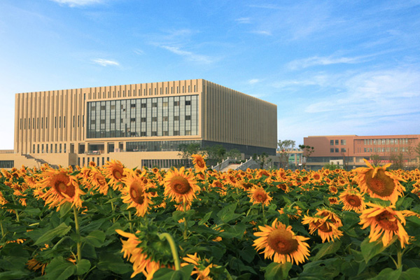 4C2CEB4B8CE7FF1A17F67AD5557_DE055D63_23C00