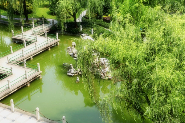 F088AEEC9982DD4131F7F7F0236_E395E866_22225