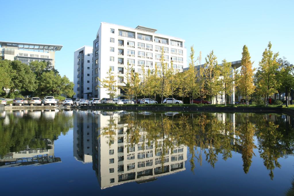 06FE72DD71BBEDDEF7E1B428211_D3656AB1_1F985