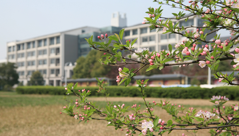 BB503A8D1D291DAE575605C2BB5_7C06D375_50B4A