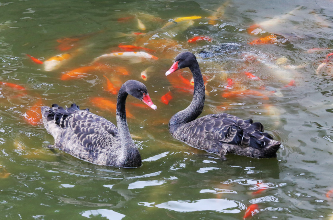 微信图片_20230413160244