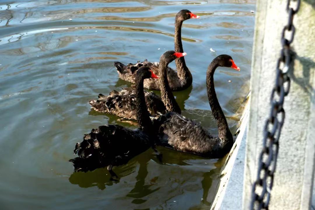 微信图片_202304170939062