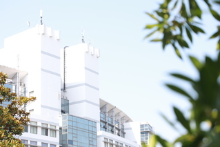 53c99628-fabe-44dd-ad0c-d5237bd7c01c_s