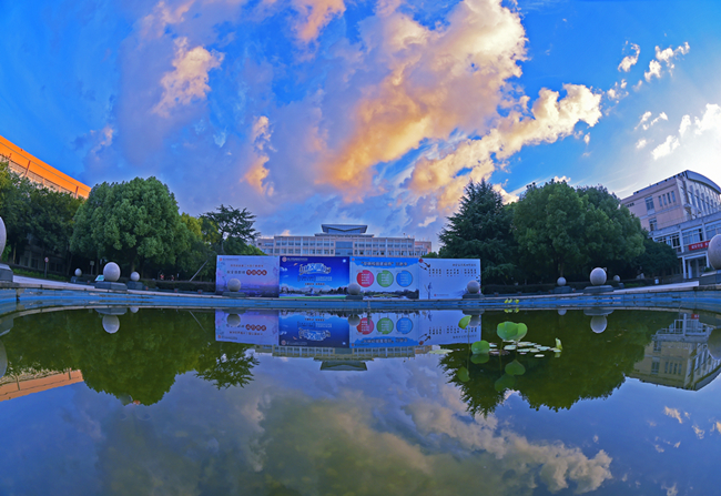 W020220919576021043579