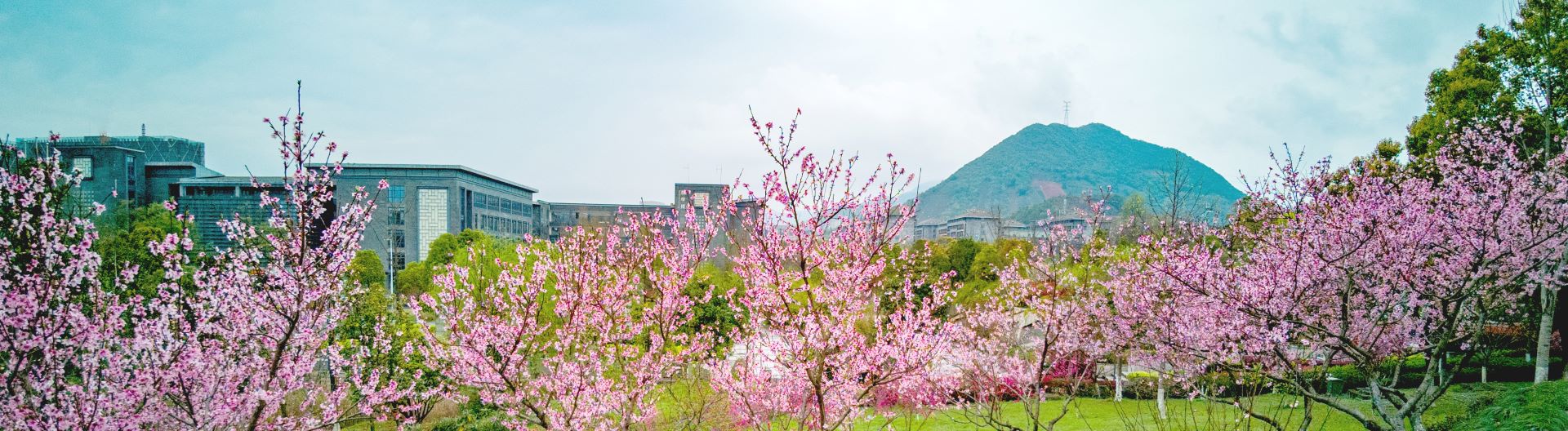 72f7ba40-0310-4b65-8974-cf4dff43dfde