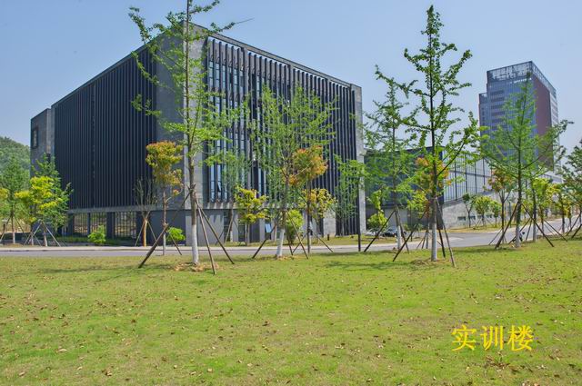 5bfd6194-b710-47e0-8360-dd1ace1c495d