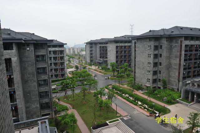 245e07ca-76ff-44cc-a11b-7c541532e045