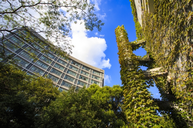 cc18489d-81ae-4c17-85c8-40a4ff6c6016