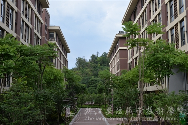 20190304031936214_820228