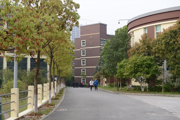 20170601104636906_5385