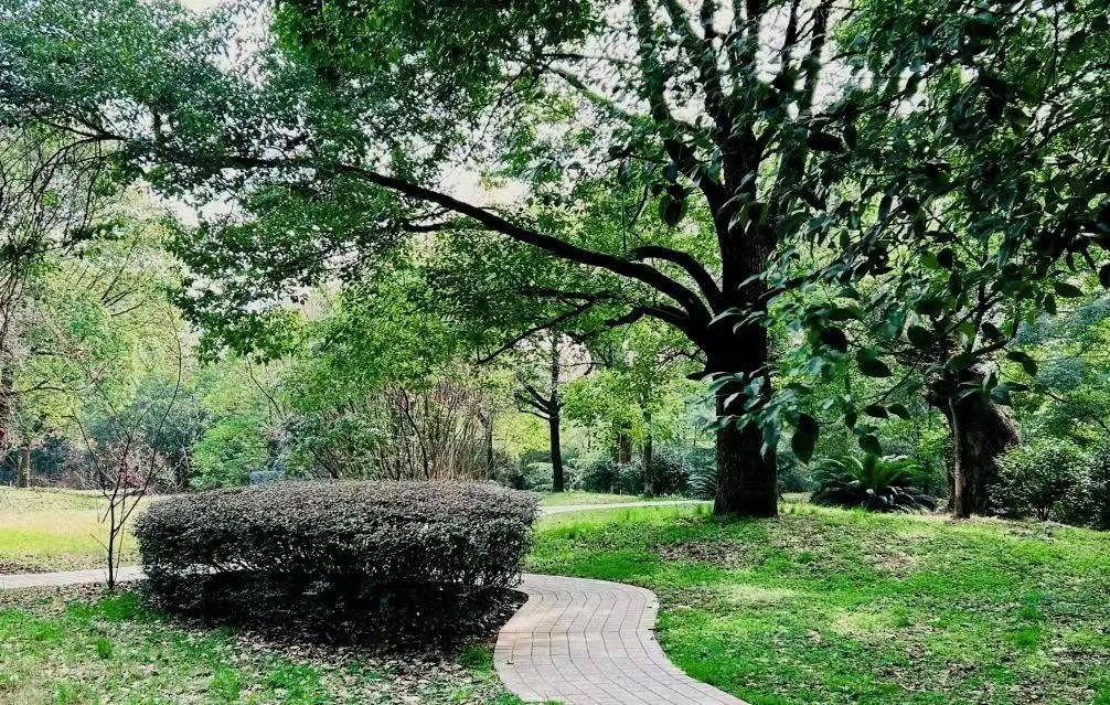 微信图片_20230422154517