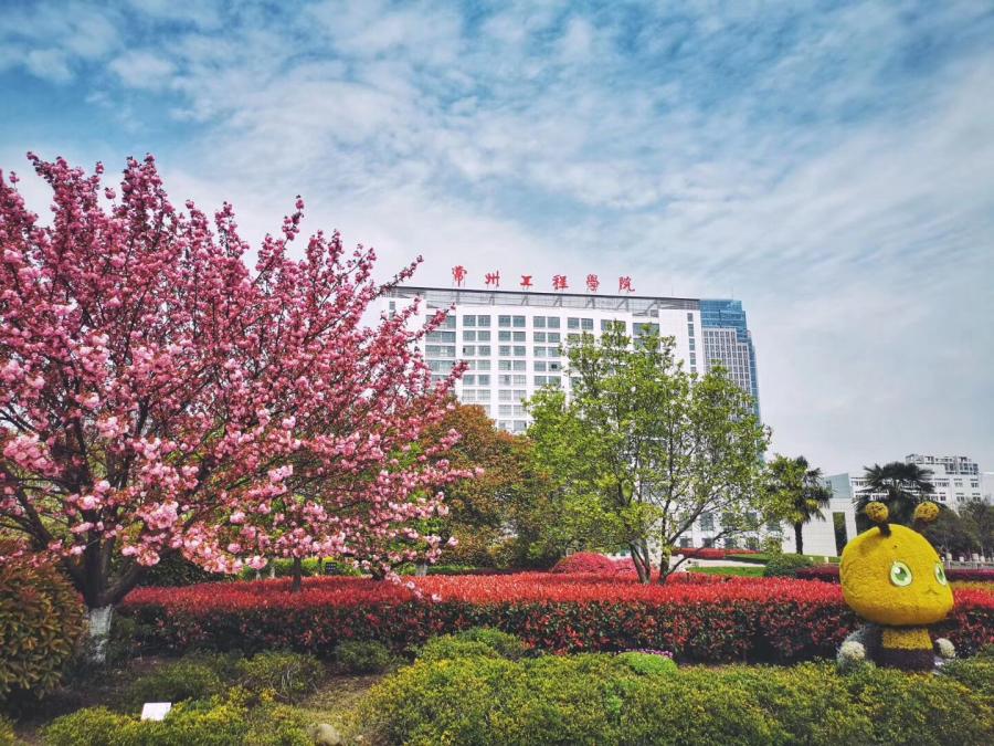 ee3ad378b0aa181d.jpg.cthumb