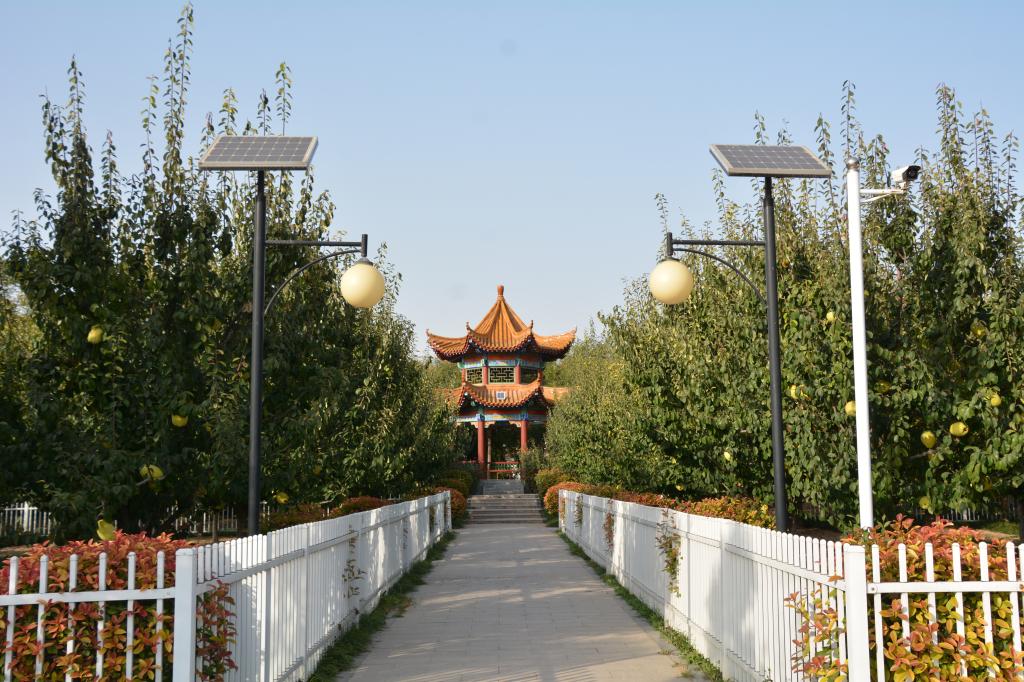 3ED6BB82D38928CF2D0E4808255_739E5812_2449B