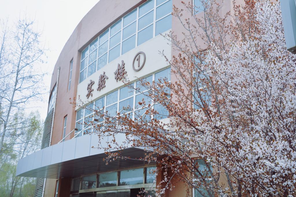 48B3E0D5886C97051A6714A402D_EF45C9A0_2CE02