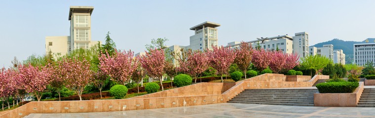 1625533750b12a89d029dfc398