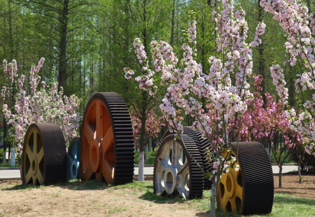 BA6B184E0B0D5E881C27A1021F8_836239F6_2A122