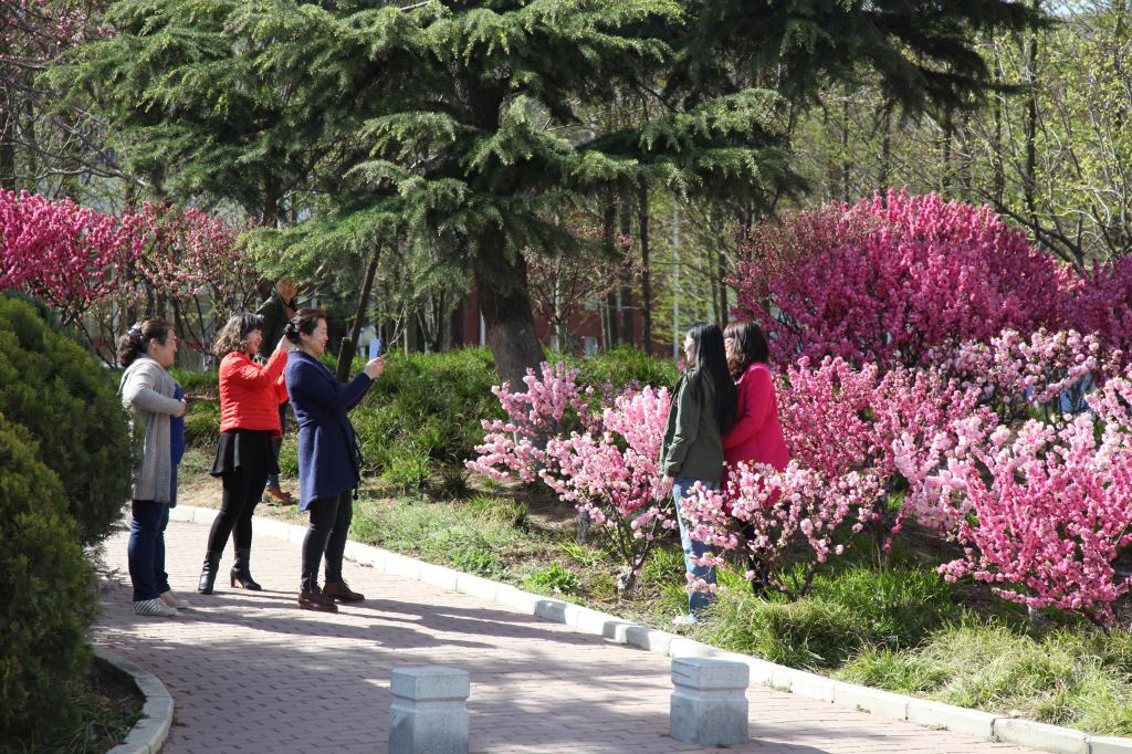 1543BF4E7FC7293F65A66F24D3D_95CFD56D_30DC0