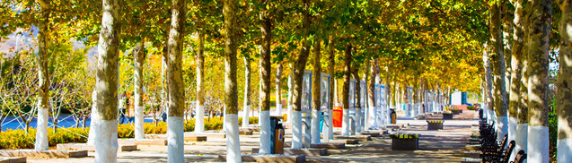 434916ad-24f2-44f3-9117-0b85042047f1