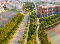 thumb_205_150_20170722103614418