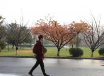 thumb_205_150_20170722104345990