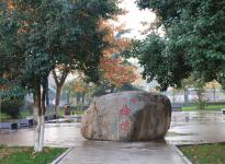 thumb_205_150_20170722104255938