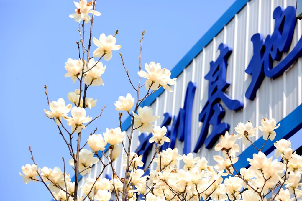 FA6488AC1A1ED733283F4A61839_CD5D57F3_17B8E