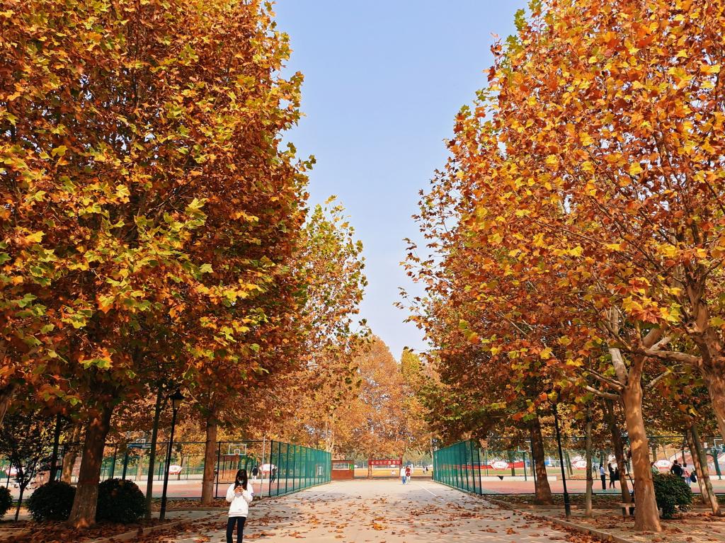 8E240016C6A4B64F4D45D7790E6_3CFC697D_40895