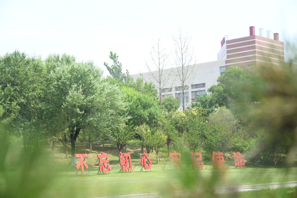 BD65F4FFDF510B047123B7EDCBC_529CB971_18A48