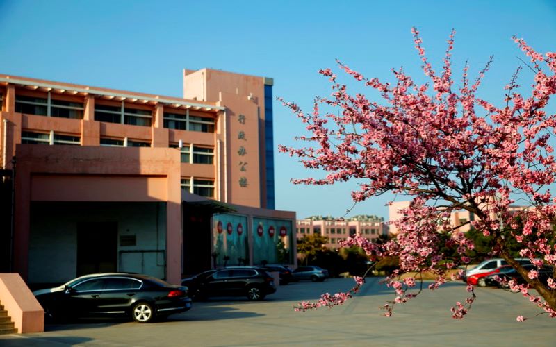 1618537378_4082_thumb