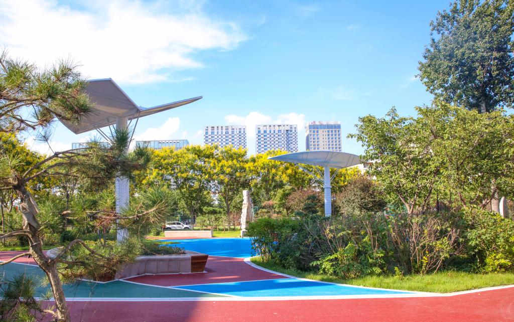 17283ACB26BCF745E118E577CCD_86CA2668_26A0B