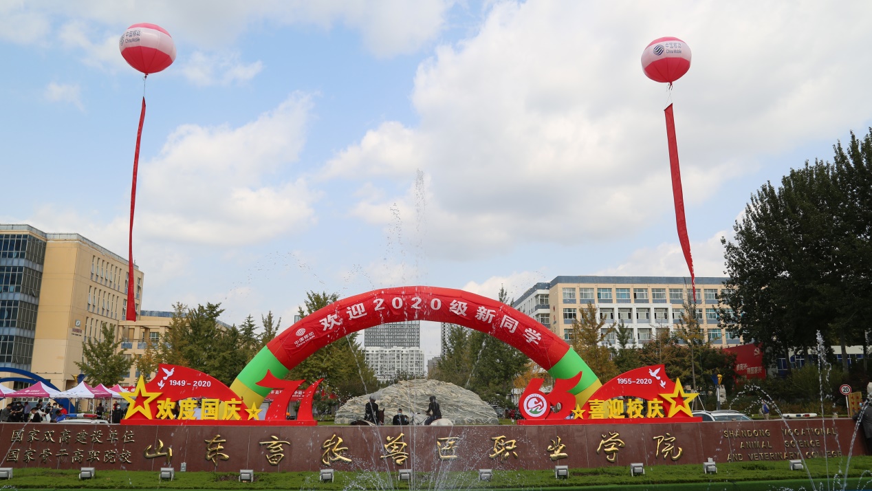 E6509E4CB8AFC25CAFA09D528D5_FAAF3881_4D897