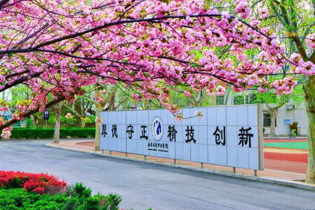 F9576023DF89B6FE9B13885BF2F_C058F8F0_15931