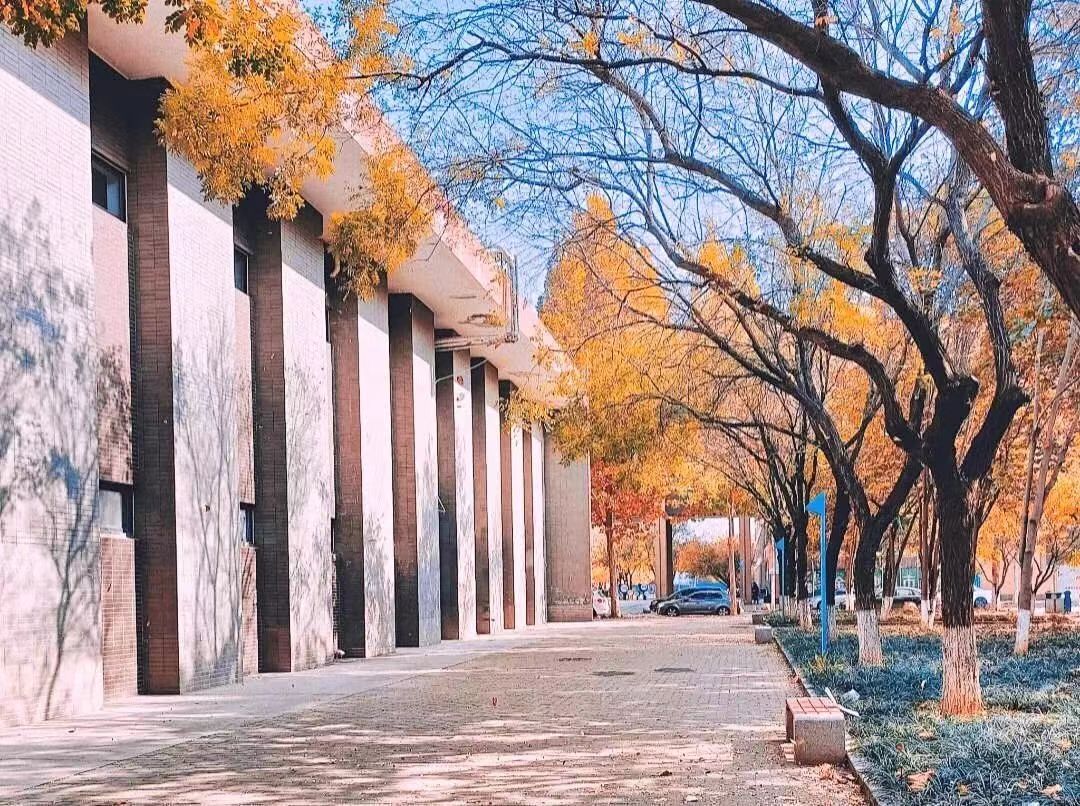 微信图片_20230515101336