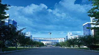 ddf7f8a9-03b9-45d5-8dd5-062489ac41c6_s