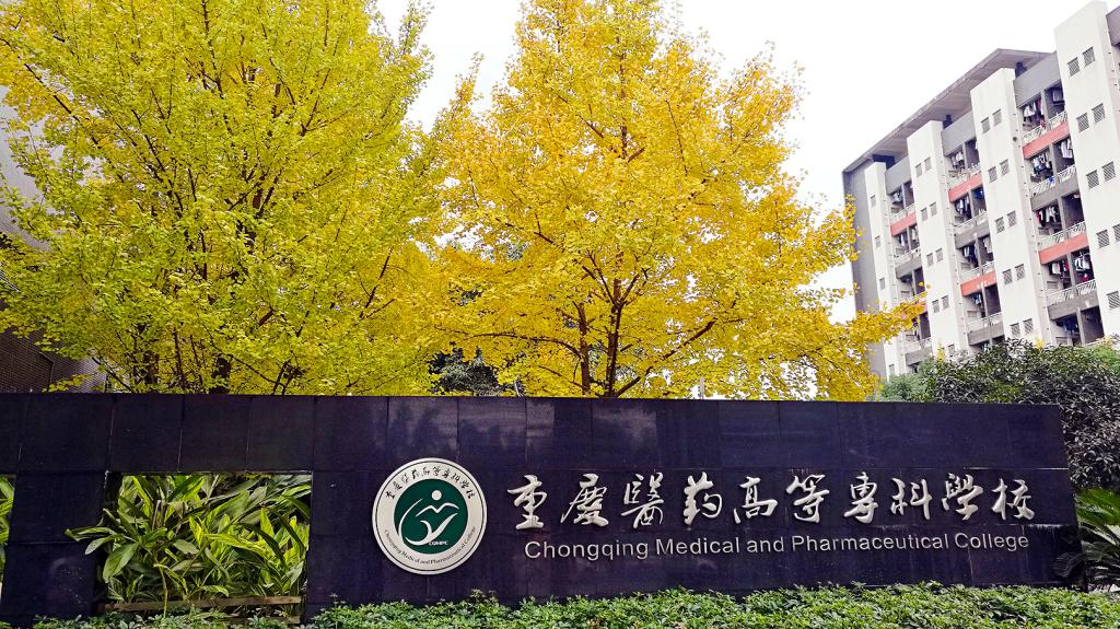 E1BC74376AF8B69A54BB210820B_09C2F75B_2DCB1