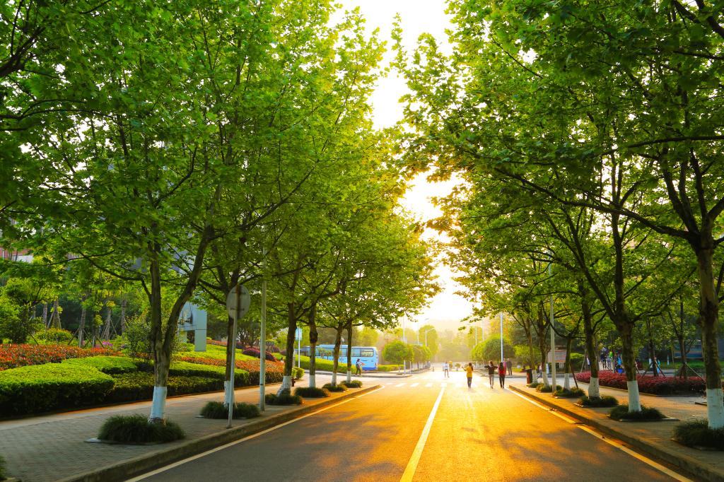 8C30608B7D62912E5F63301969C_AD38DD1B_322C0