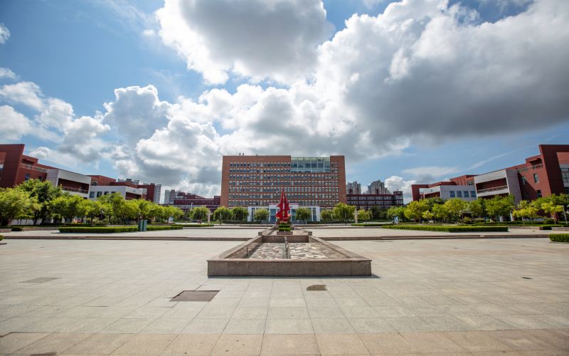 1608686915_3731_thumb