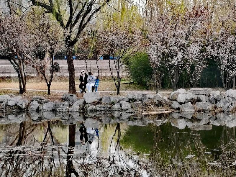 8c8d427f-39de-4ee6-8c9f-2c24b464ec46m