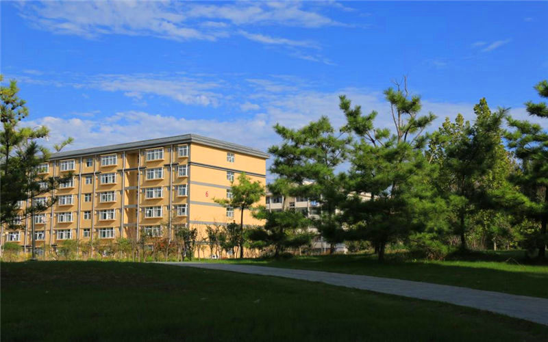 1559826194_1429_thumb