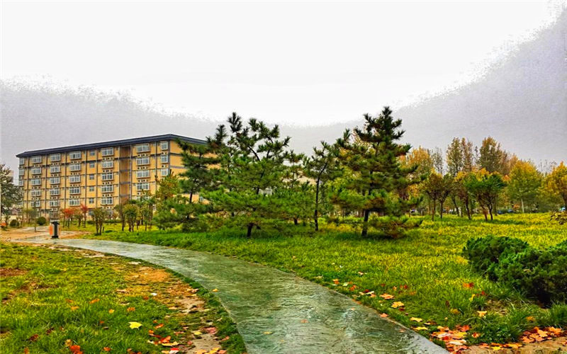 1559826194_2494_thumb