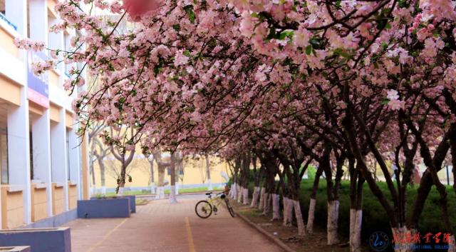 6B744FD0668E3D5B584E20EC914_745B715E_EA8F