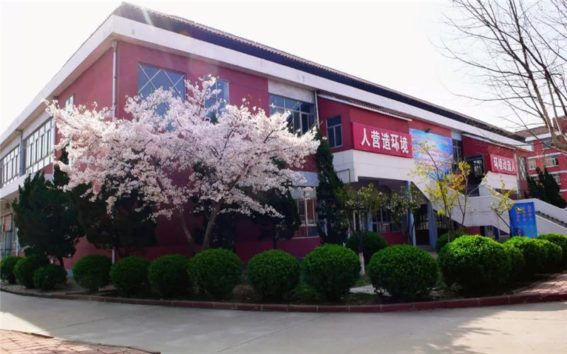 1559824007_3724_thumb