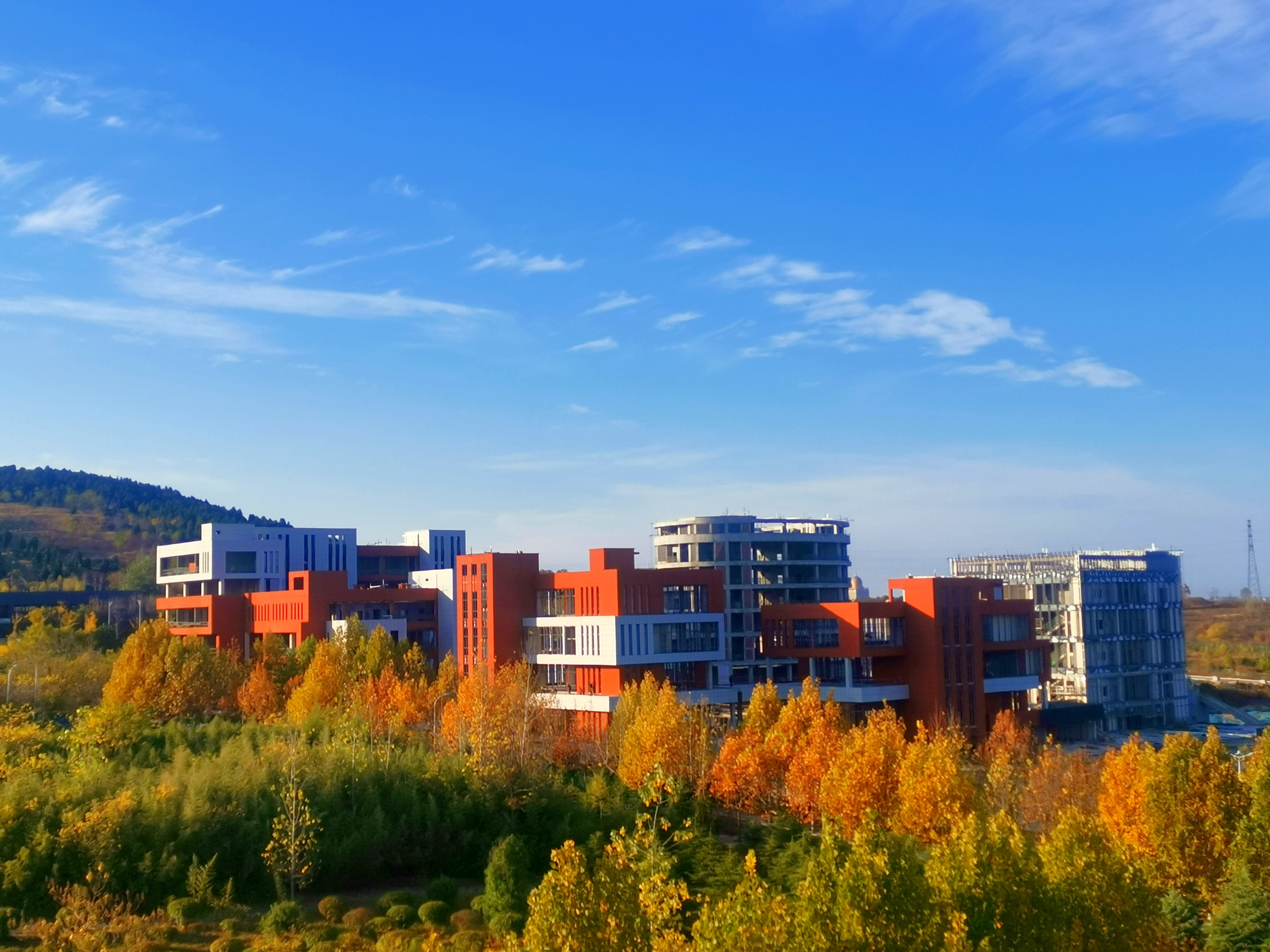 E74E1CD9BB4E39E4FFFBDF565D0_56090A86_2B109F