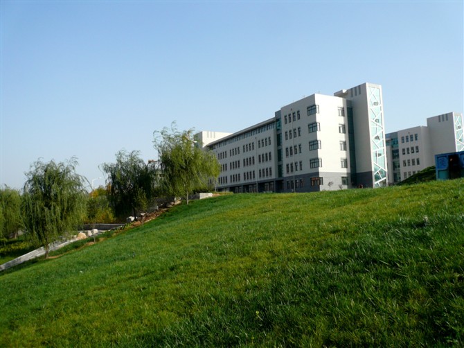 8F111CD22643A7BE6C586ED0071_D26BBE73_16046