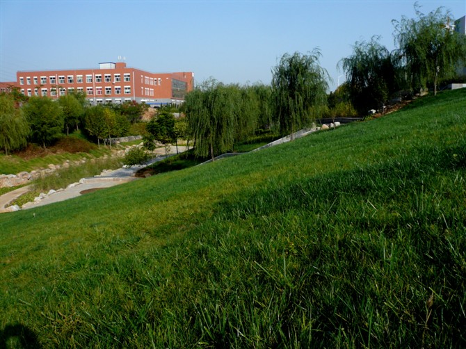 1341EF498E56CC5B1C651E85681_0842C787_1E89E