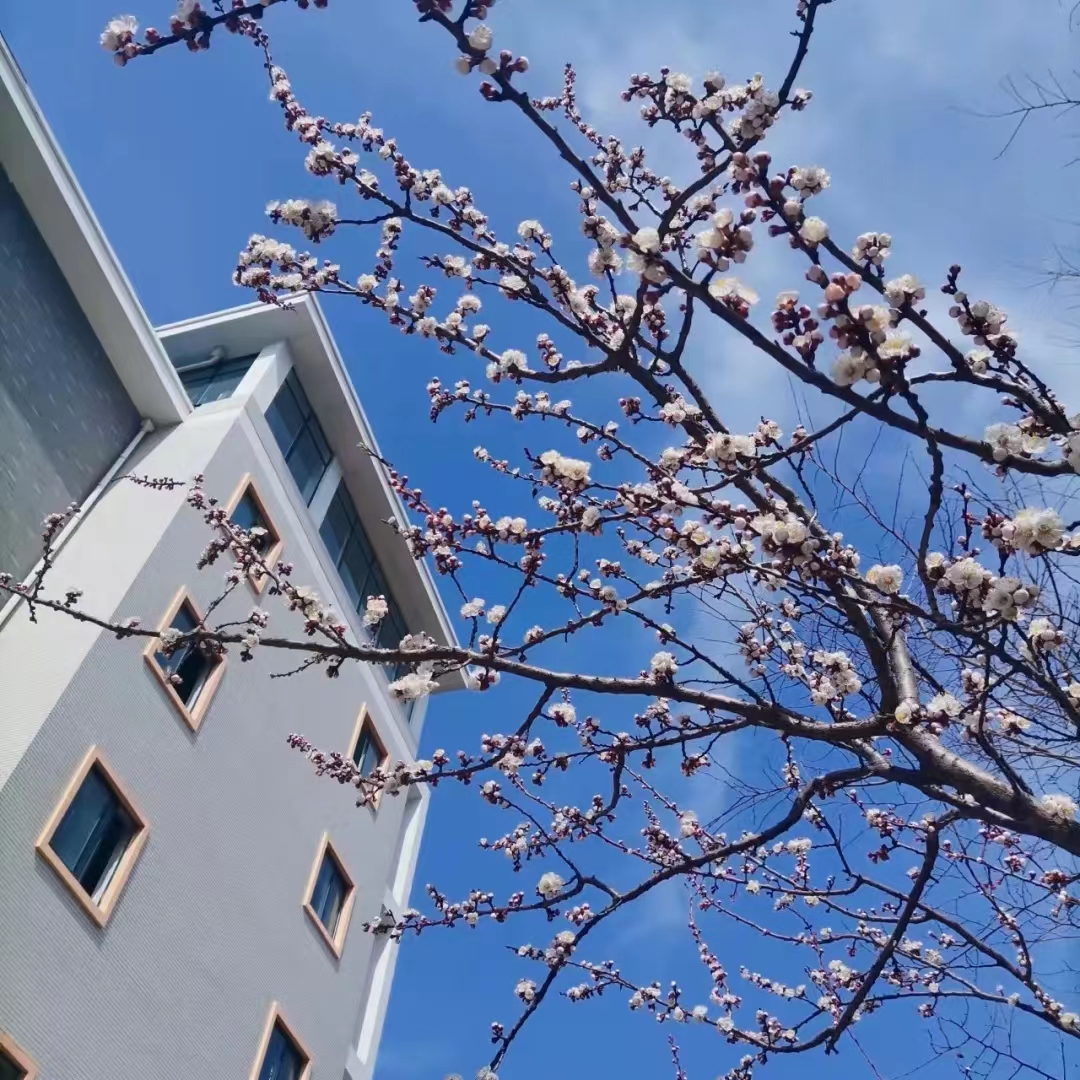 hZPGEIaZuM0iuEBVaKWk5OsZOH737eZJwu1iFwnF